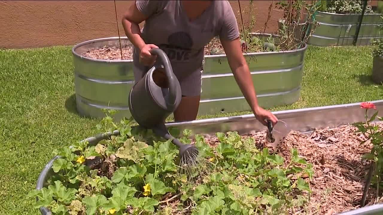 Help reduce your family's food cost by starting your own garden