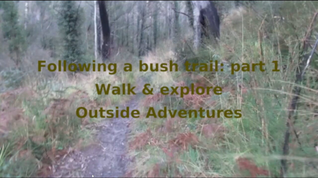 Following a bush trail 1 - Outside Adventures