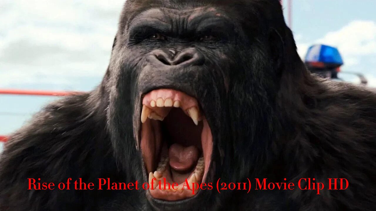 Gorilla vs Helicopter Scene - Bridge Battle - Rise of the Planet of the Apes (2011) Movie Clip HD