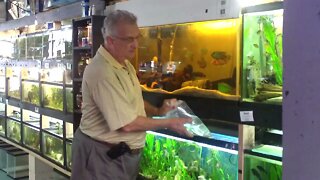 FATHER FISH EARLY YEARS 6