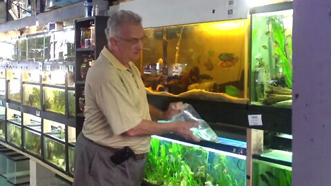 FATHER FISH EARLY YEARS 6