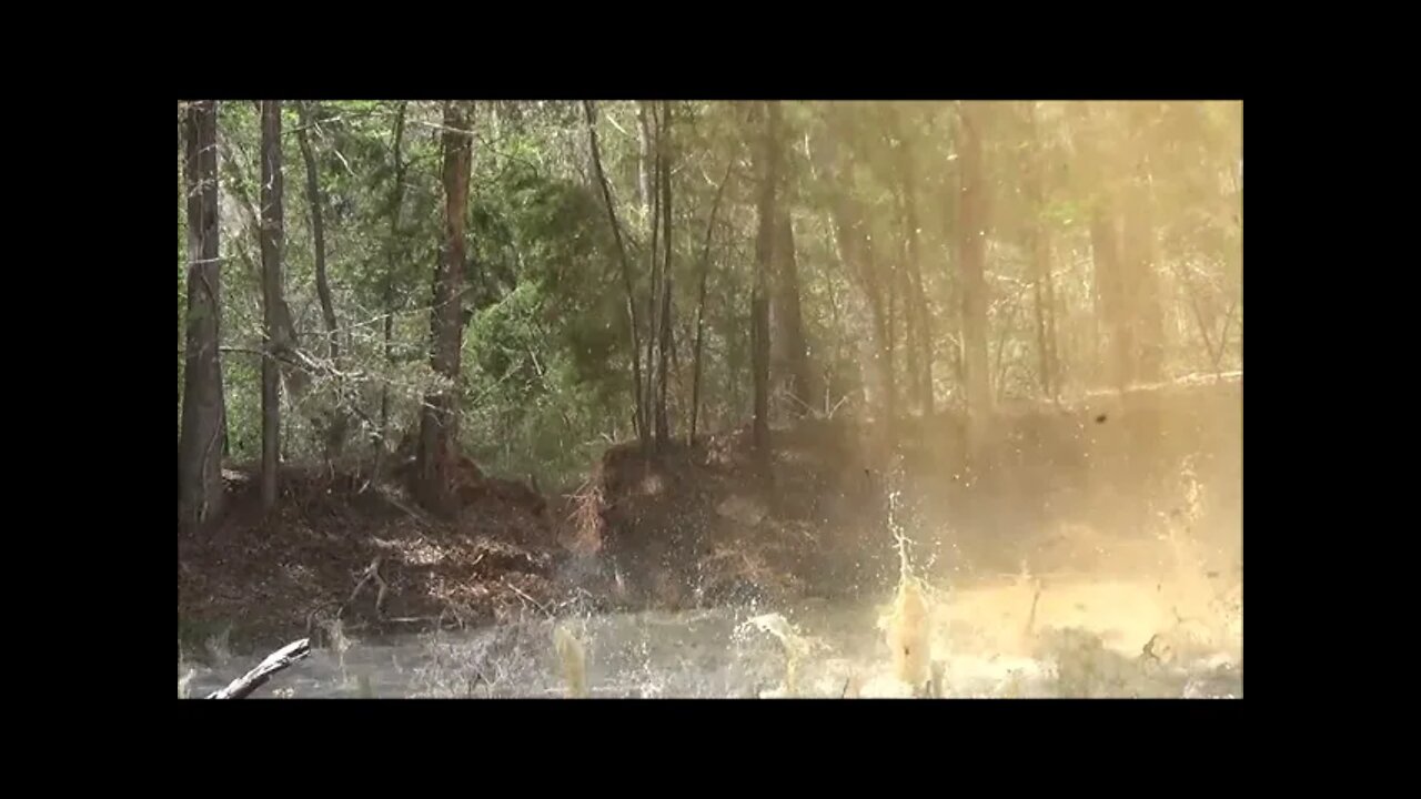 Poison Stinger VS Pond Dam !!!!!