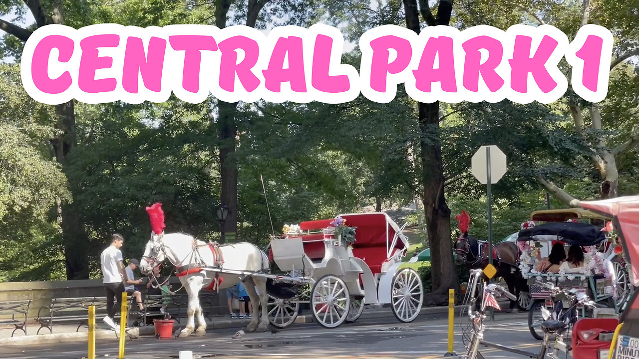 Central Park 1 - New York City Walking Tour - New York Travel - New York Reisen