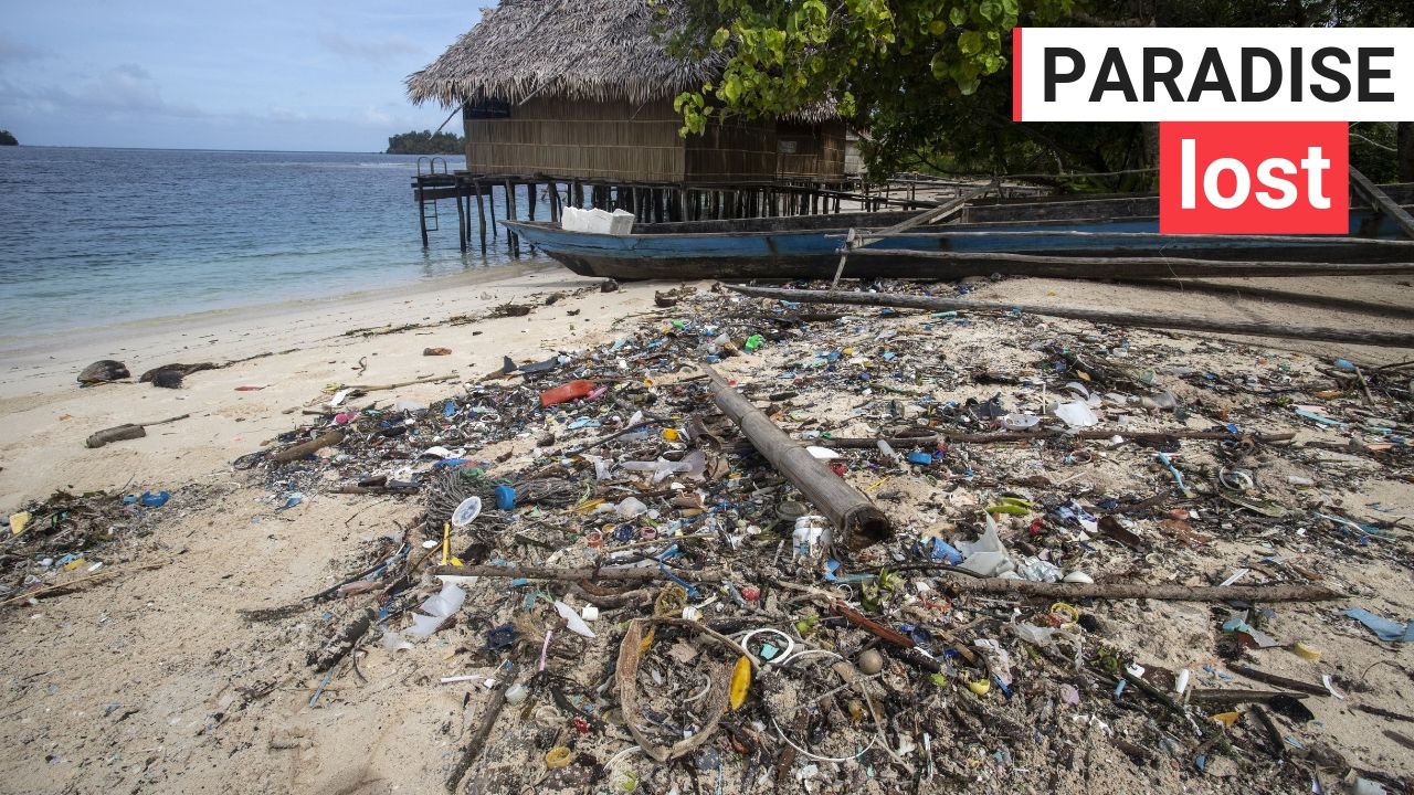 Conservationist finds island covered in rubbish