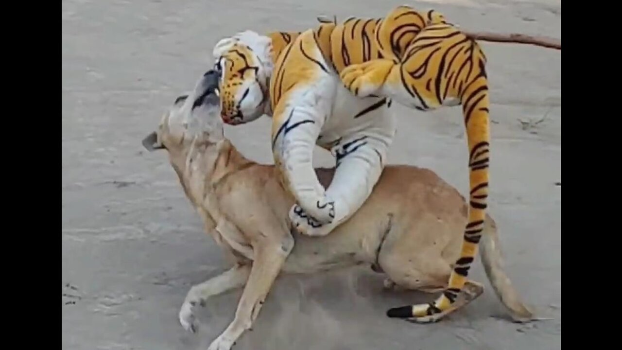 Funny Dog Challenge - Fake Tiger Prank 2021 -Try Not Laugh