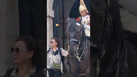 Another rein holder #horseguardsparade