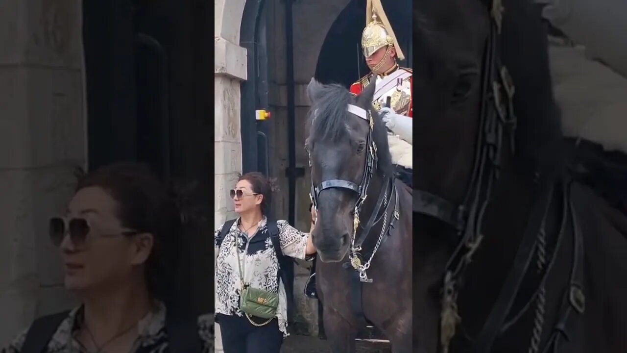Another rein holder #horseguardsparade