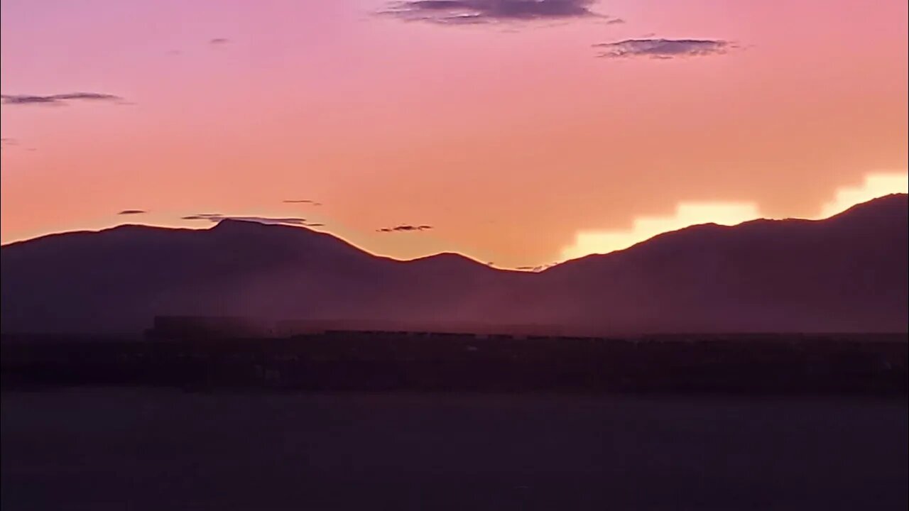 Cattle Market Turmoil Series