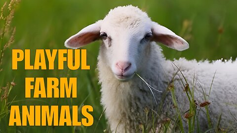 Playful Farm Animals: cute and funny