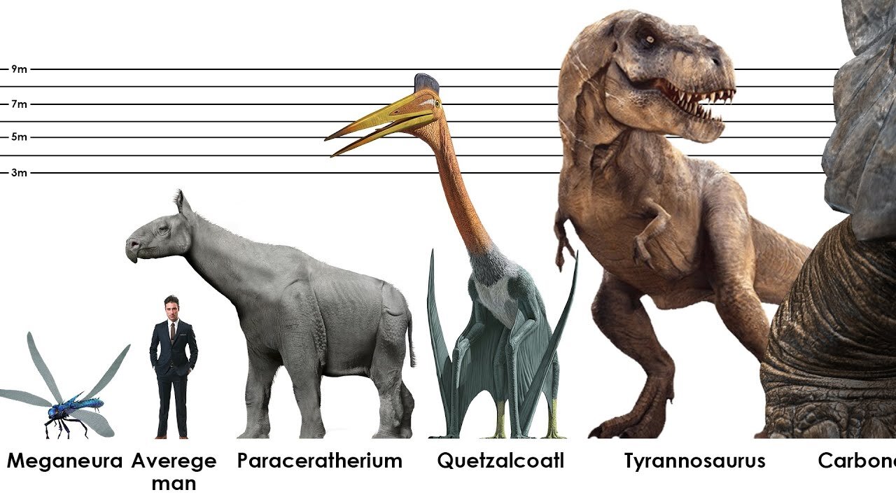 Extinct Animals SIZE Comparison 2022