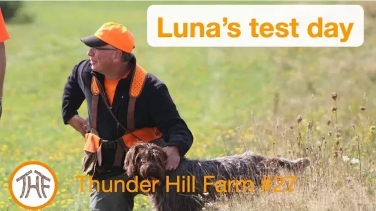 Thunder Hill Farm #27 - Luna's test day