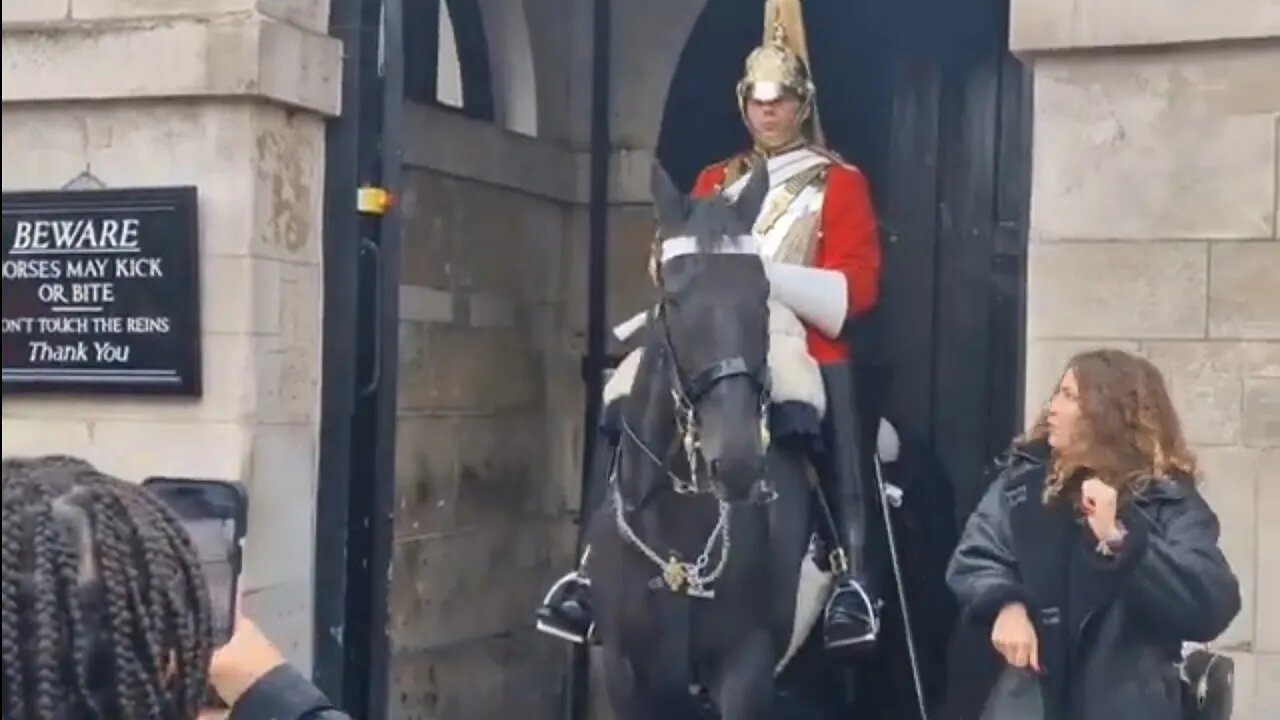 she jumps when the horse moves #horseguardsparade