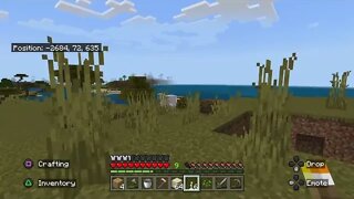 Minecraft Part 6-Night Attack