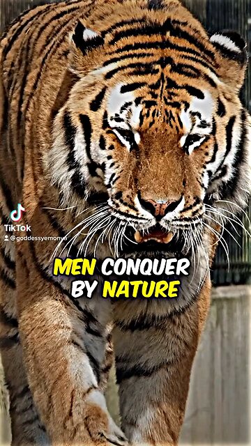 Men conquer