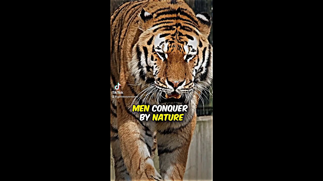 Men conquer