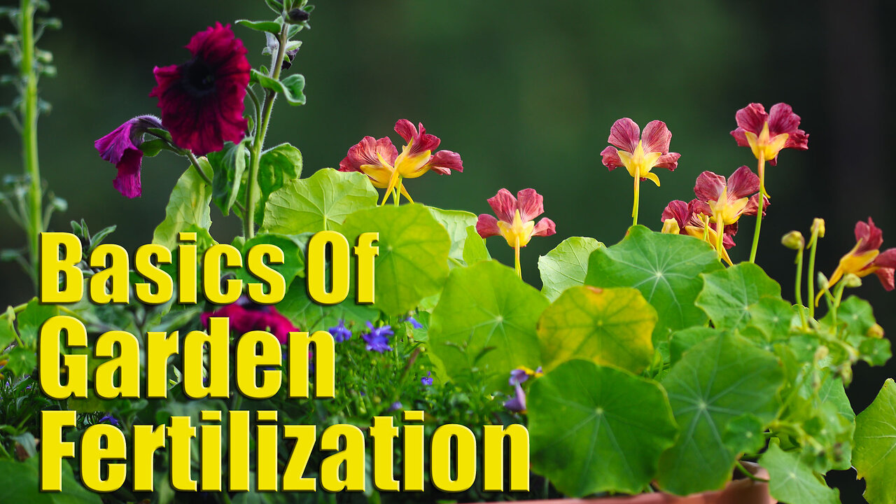 Basics Of Garden Fertilization | The Key To Great Gardens & Good Food Production
