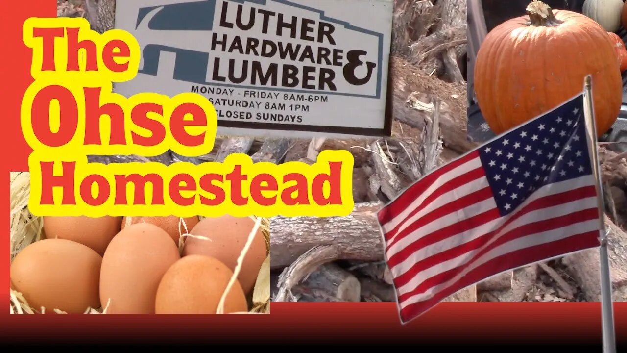 Eggs Flags and Wood - The Ohse Homestead - VLOG # 47