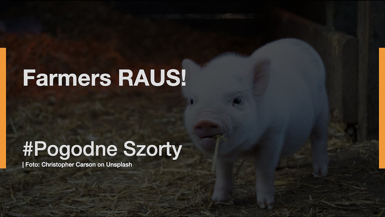 Farmers raus! | Pogodne Szorty