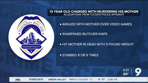 TPD: 13 year old kills his mom over video games