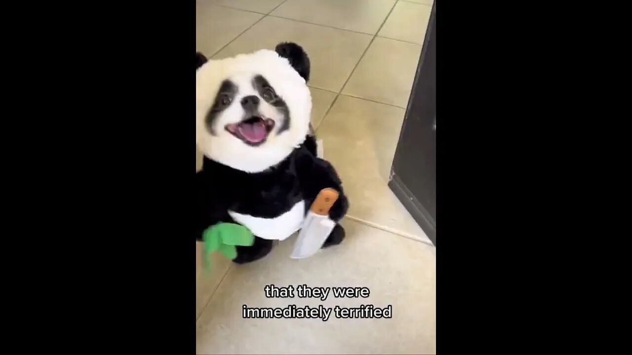 WARNING: TERRIFYING!