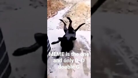 MEME is the one and only D-O double G #shorts #trending #snow
