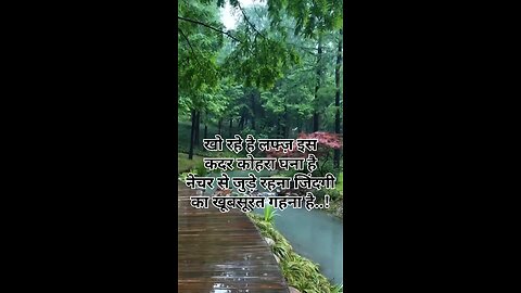 #love #shayari #travel #goldenlove #loveshayari #shayari