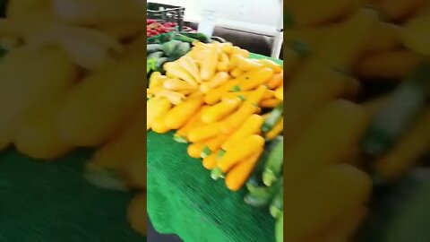 Farmer’s Markets are the Best! #shorts #health #summer #plantbased #vlog #family