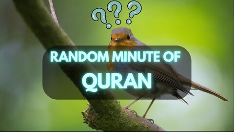 #RandomMinuteQuran