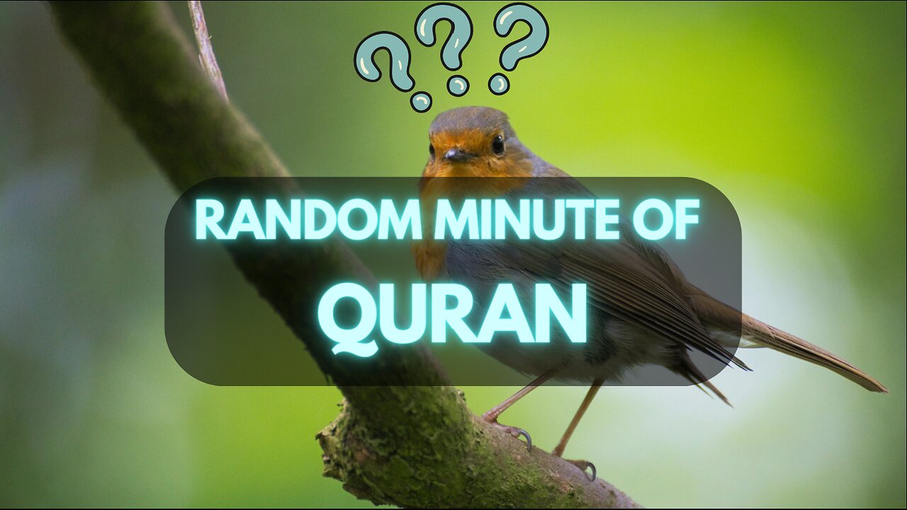 #RandomMinuteQuran