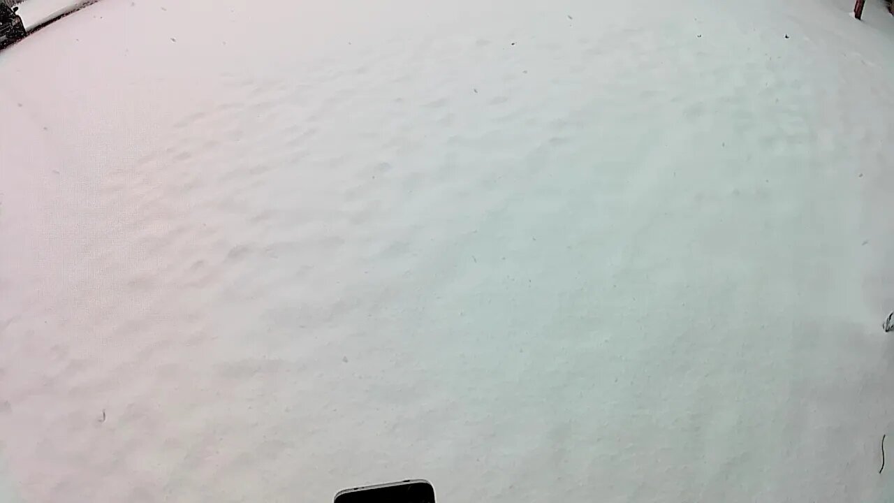 12/16/2019 The Watchman News - Snow!!! & Show Cancellation Announcement