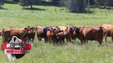 Health Canada proposes WARNING LABEL for ground beef