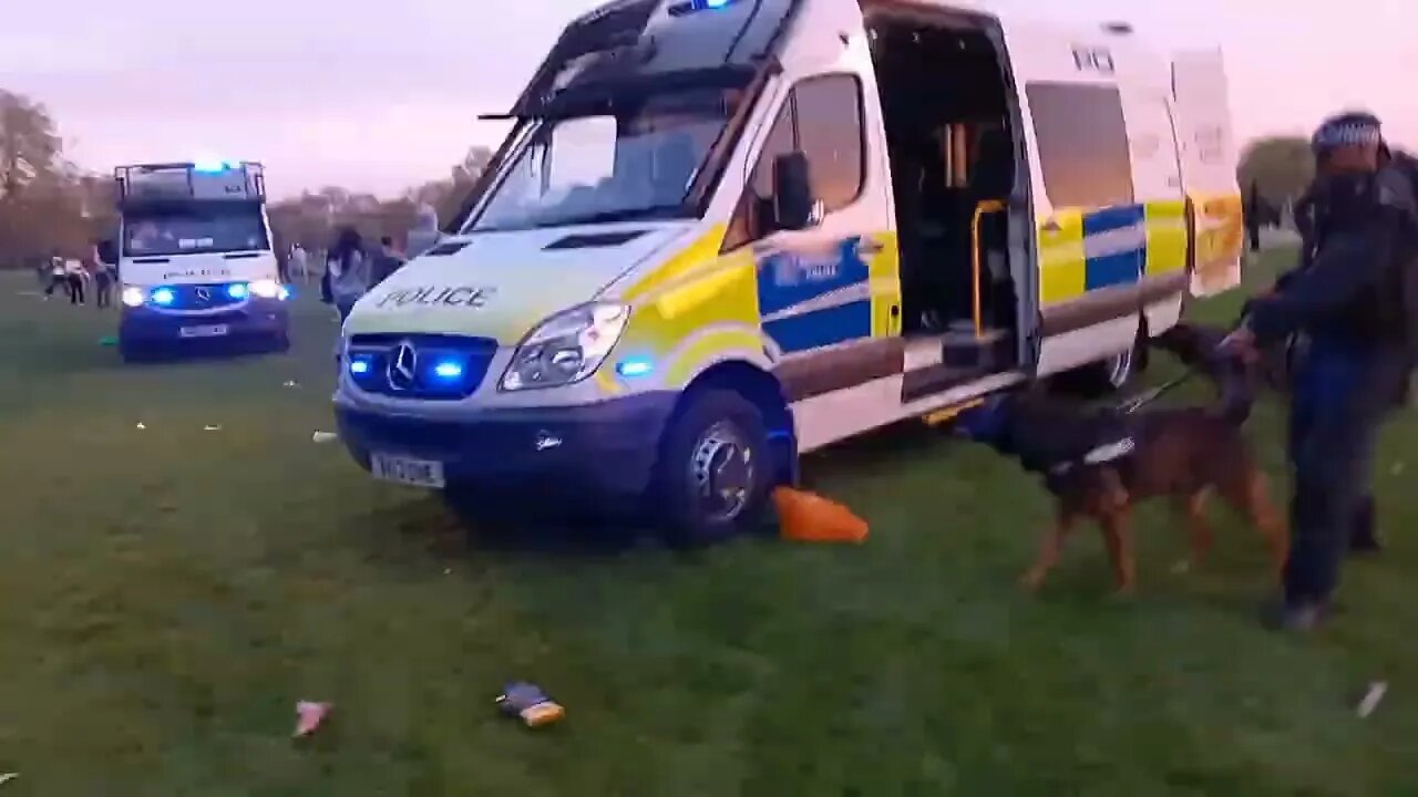 Violence erupts at 4/20 Day with police in Hyde Park, London