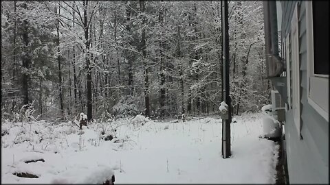 This is why we wait until late May to plant