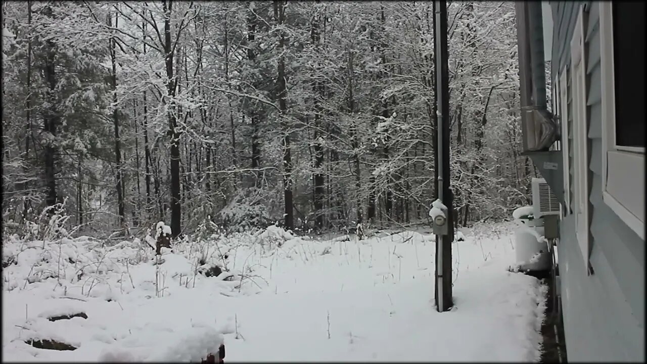 This is why we wait until late May to plant