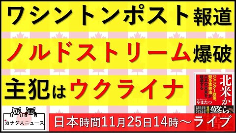 11.12 ウクライナによるノルドストリーム爆破報道の意味は？