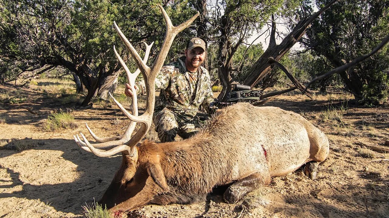 New Mexico Bowhunting Elk 2020 I Team Radical