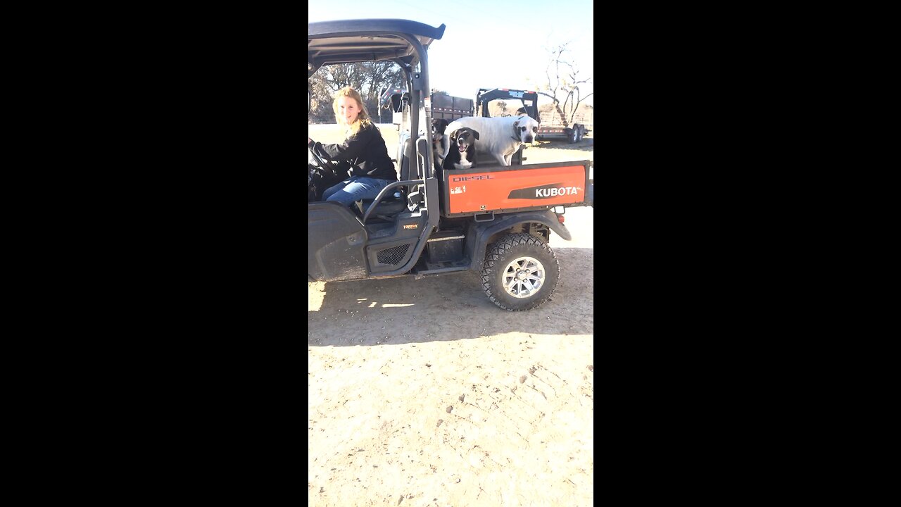 Kubota UTV straight piped