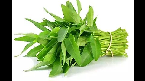 Dish of Water spinach