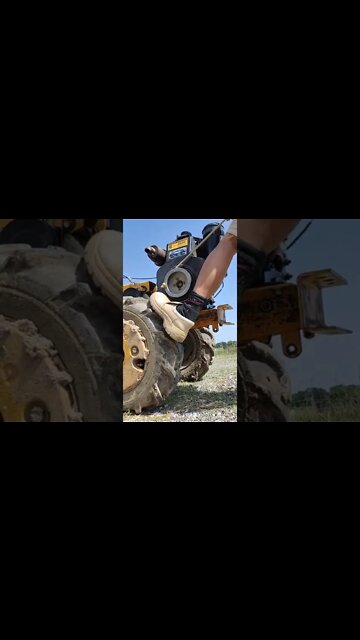 #shorts #2022 funny,prank,funjokes,dad jokes,funny memes,funny video,fun,laughing,funny animal,knock