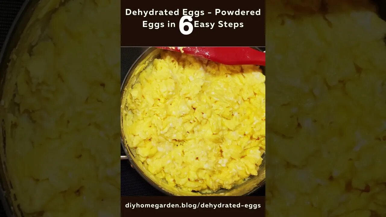 Dehydrated Eggs (Powdered Eggs) in 6 Easy Steps