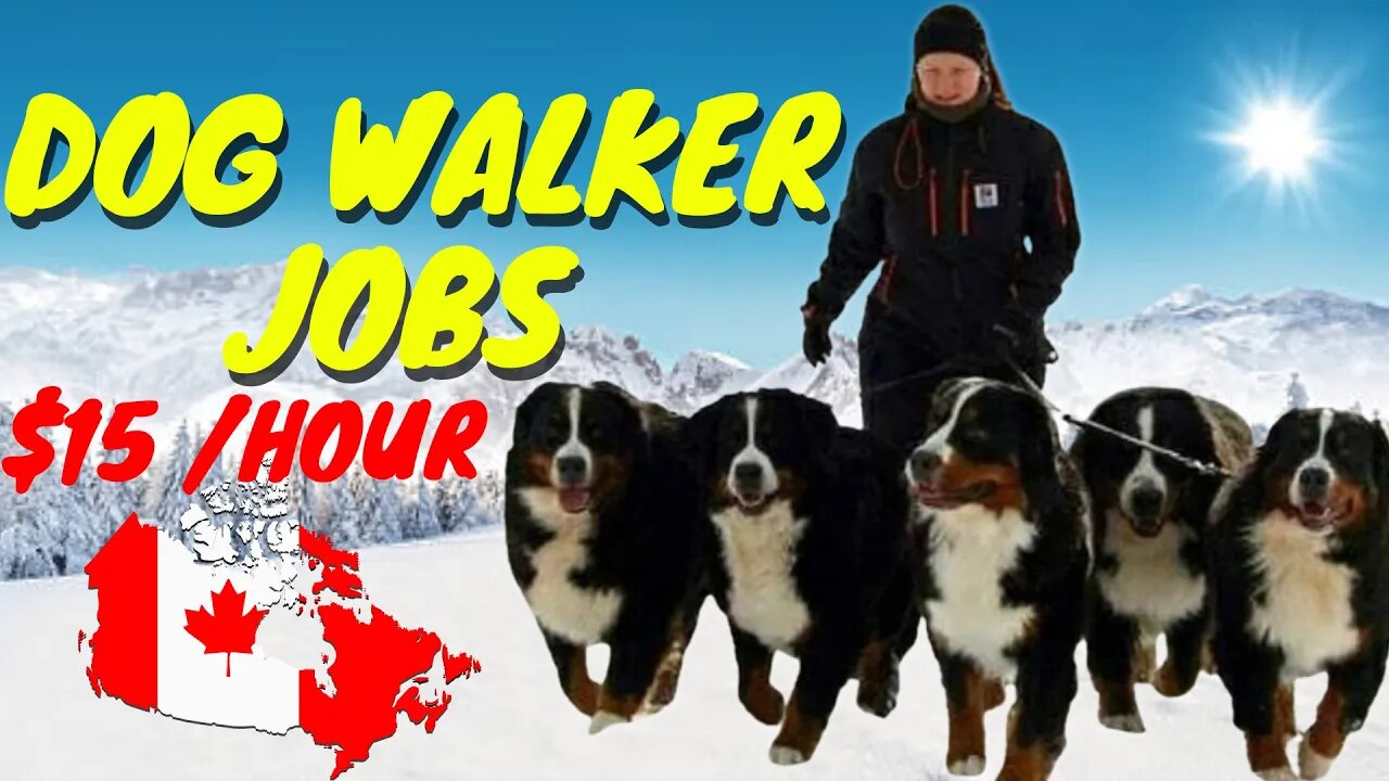 Dog Walker Jobs in Canada With High Paying Salaries APPLY NOW