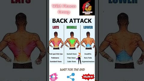 🔥Back exercises🔥#shorts🔥#wildfitnessgroup🔥10 July 2022🔥