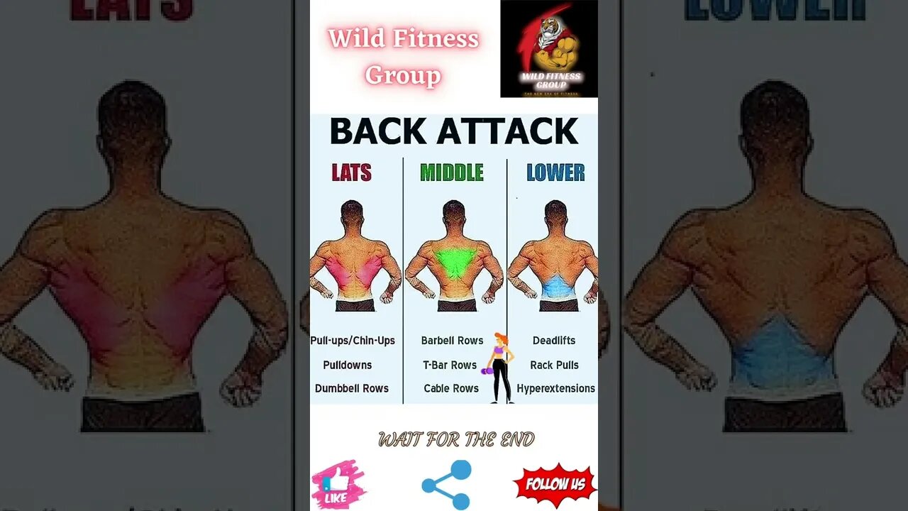 🔥Back exercises🔥#shorts🔥#wildfitnessgroup🔥10 July 2022🔥