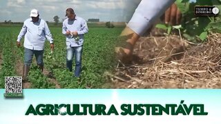 Agricultura Sustentável - com Frederico Olivi @Riza Sementes