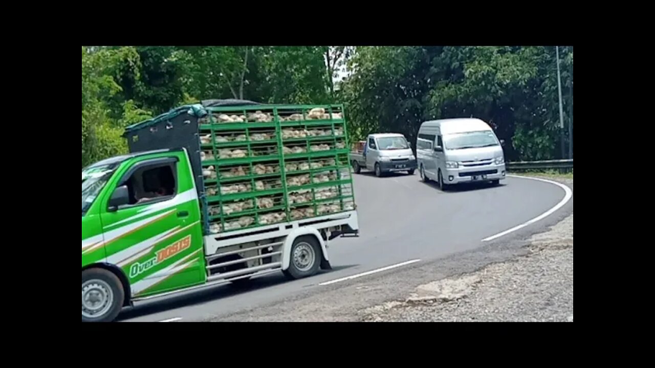 Tikungan Tajam Tembung Kerta