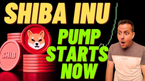 Shiba Inu Big Pump Happening