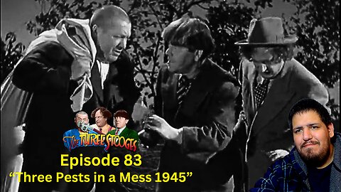 The Three Stooges | Episode 83 | Reaction