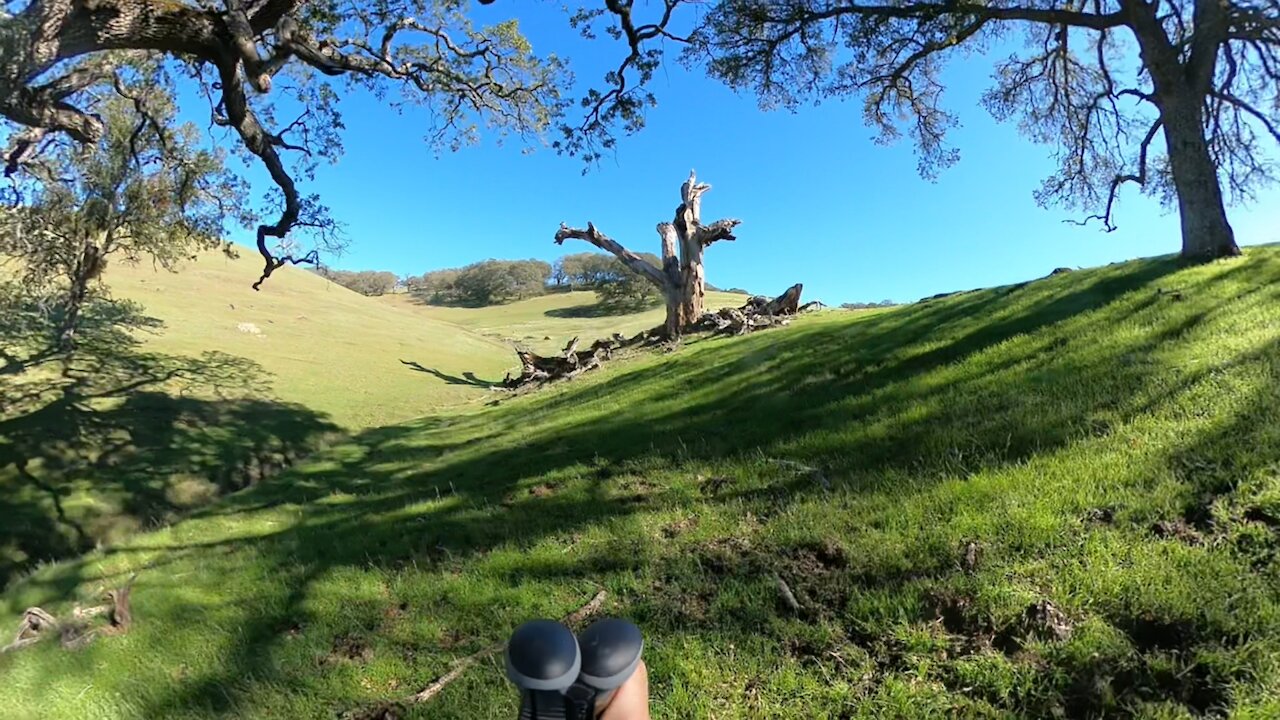 Volvon Trail Spur Timelapse