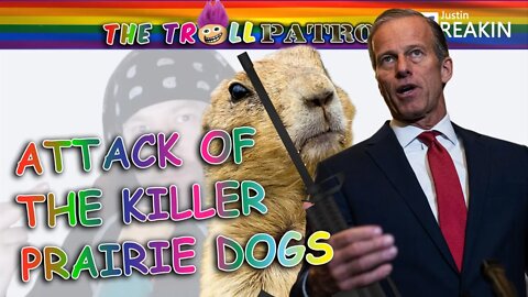 GOP Senator Thune Claims He Needs Assault Weapons For Protection From Prairie Dogs Which Are Stupid