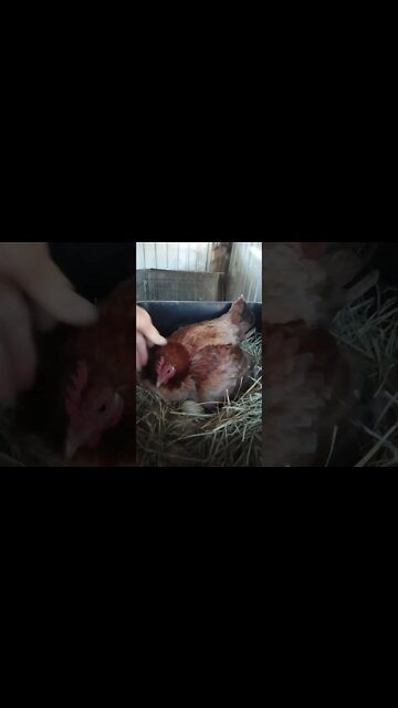 Good morning Forest not much to say this morning